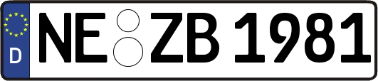 NE-ZB1981