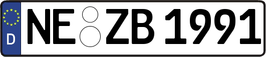 NE-ZB1991