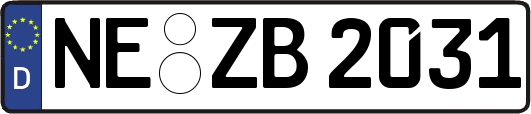 NE-ZB2031