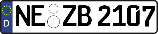 NE-ZB2107