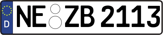 NE-ZB2113