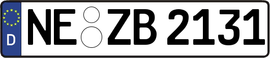 NE-ZB2131