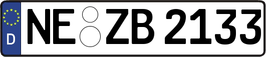 NE-ZB2133