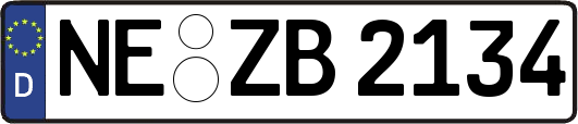 NE-ZB2134