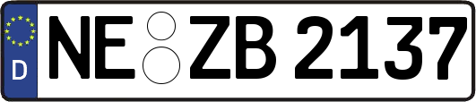 NE-ZB2137