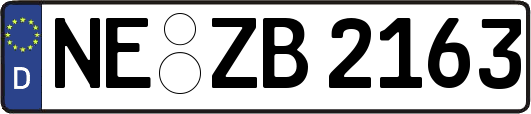 NE-ZB2163