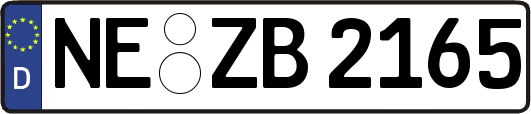 NE-ZB2165