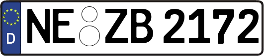 NE-ZB2172