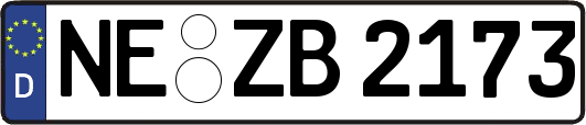 NE-ZB2173