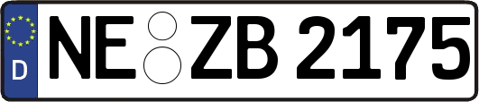 NE-ZB2175
