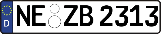 NE-ZB2313
