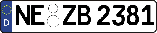 NE-ZB2381