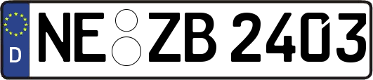 NE-ZB2403