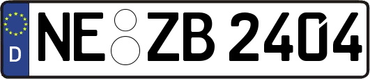 NE-ZB2404