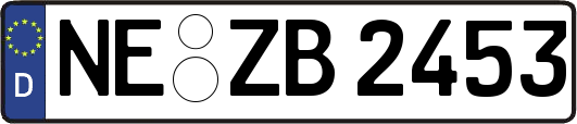 NE-ZB2453