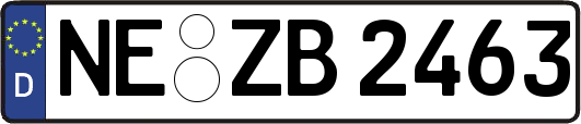 NE-ZB2463