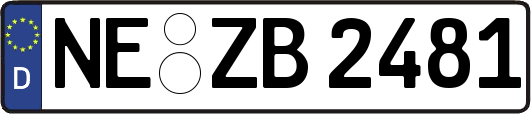 NE-ZB2481