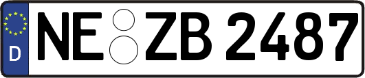 NE-ZB2487