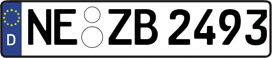 NE-ZB2493