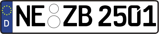 NE-ZB2501