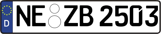 NE-ZB2503