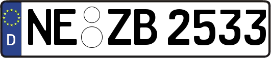 NE-ZB2533