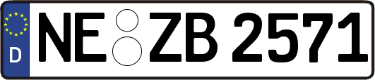 NE-ZB2571