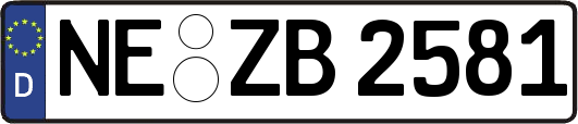 NE-ZB2581
