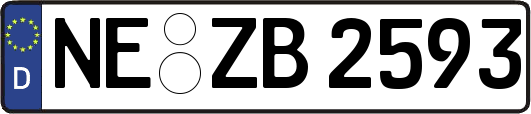 NE-ZB2593