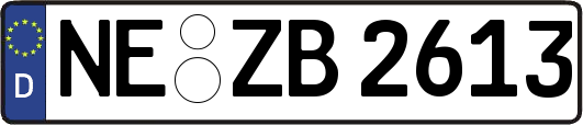 NE-ZB2613