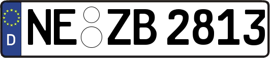 NE-ZB2813