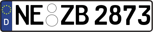 NE-ZB2873