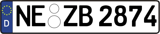 NE-ZB2874