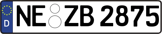 NE-ZB2875