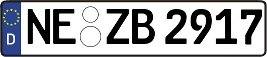 NE-ZB2917