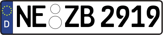 NE-ZB2919