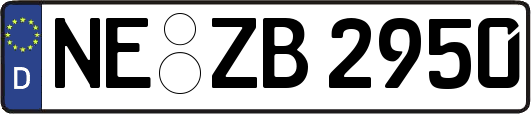 NE-ZB2950