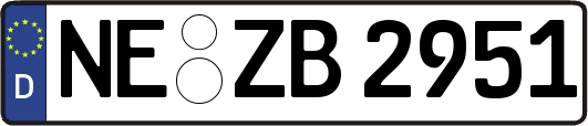 NE-ZB2951