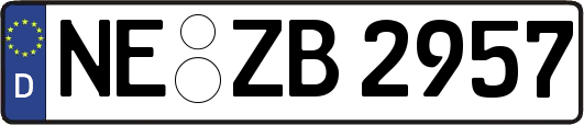 NE-ZB2957