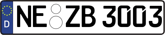 NE-ZB3003