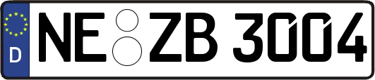NE-ZB3004