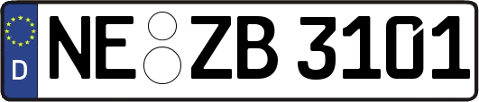 NE-ZB3101