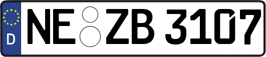 NE-ZB3107