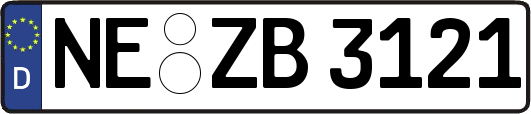 NE-ZB3121