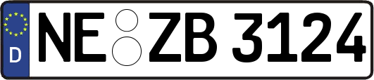 NE-ZB3124
