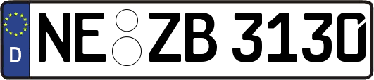 NE-ZB3130