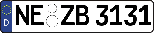 NE-ZB3131