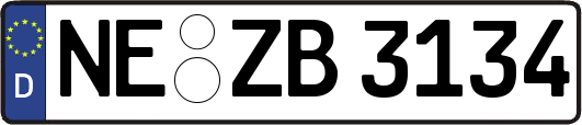 NE-ZB3134