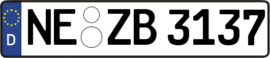 NE-ZB3137