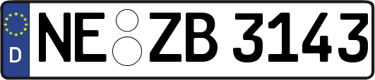NE-ZB3143